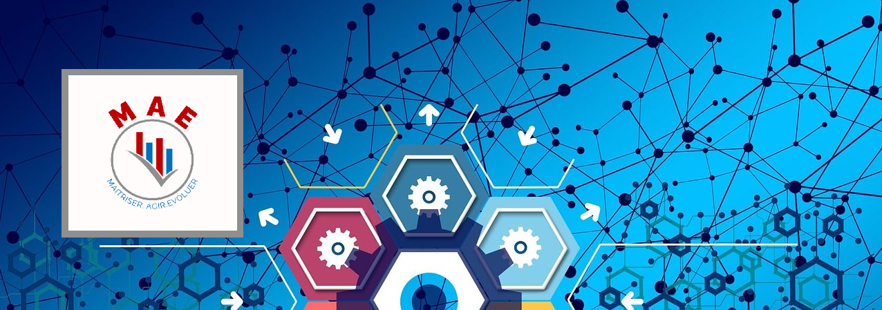 MAE - Certifié Stratégie HEC Paris